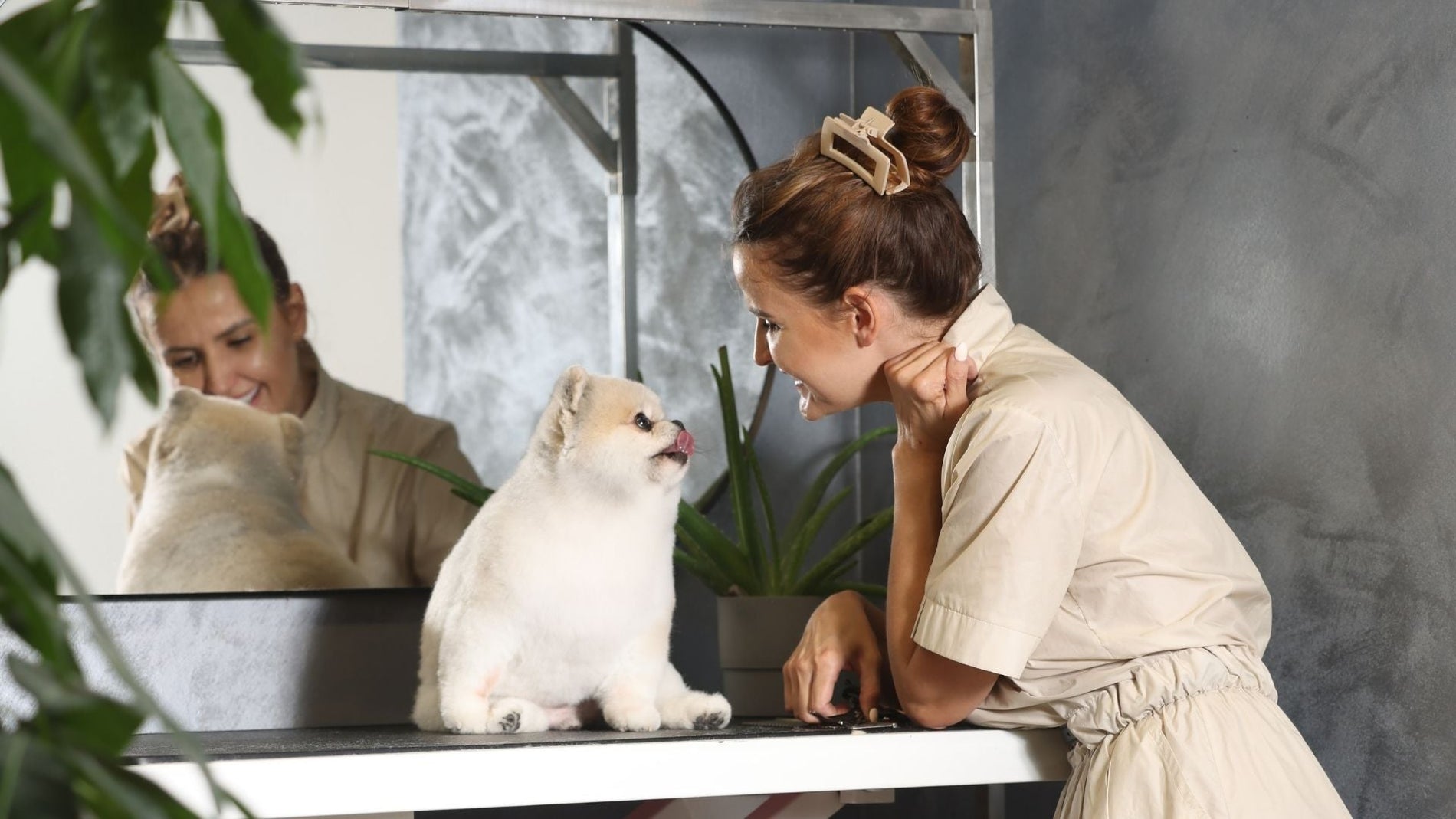 How to Choose the Right Shampoo for Your Dog’s Skin and Coat Type