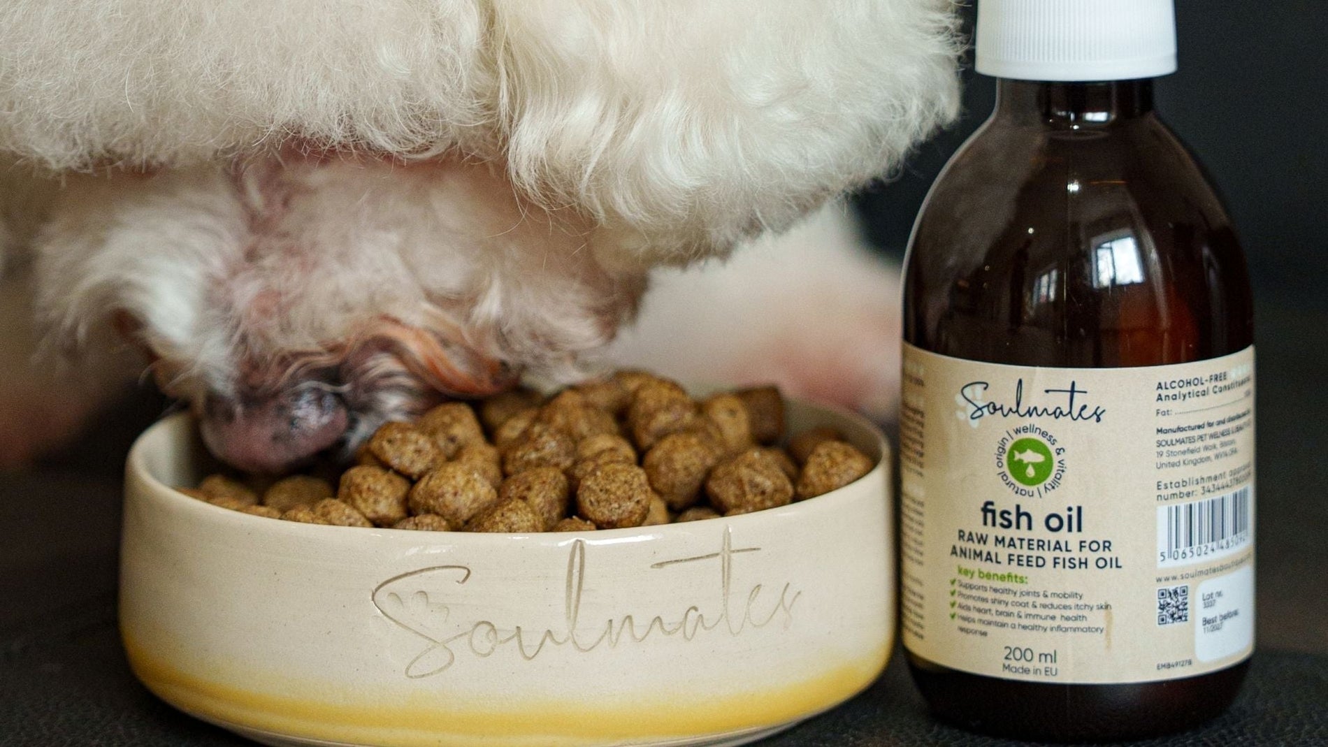 Omega 3 for Dogs: Benefits for Skin, Coat, and Joints