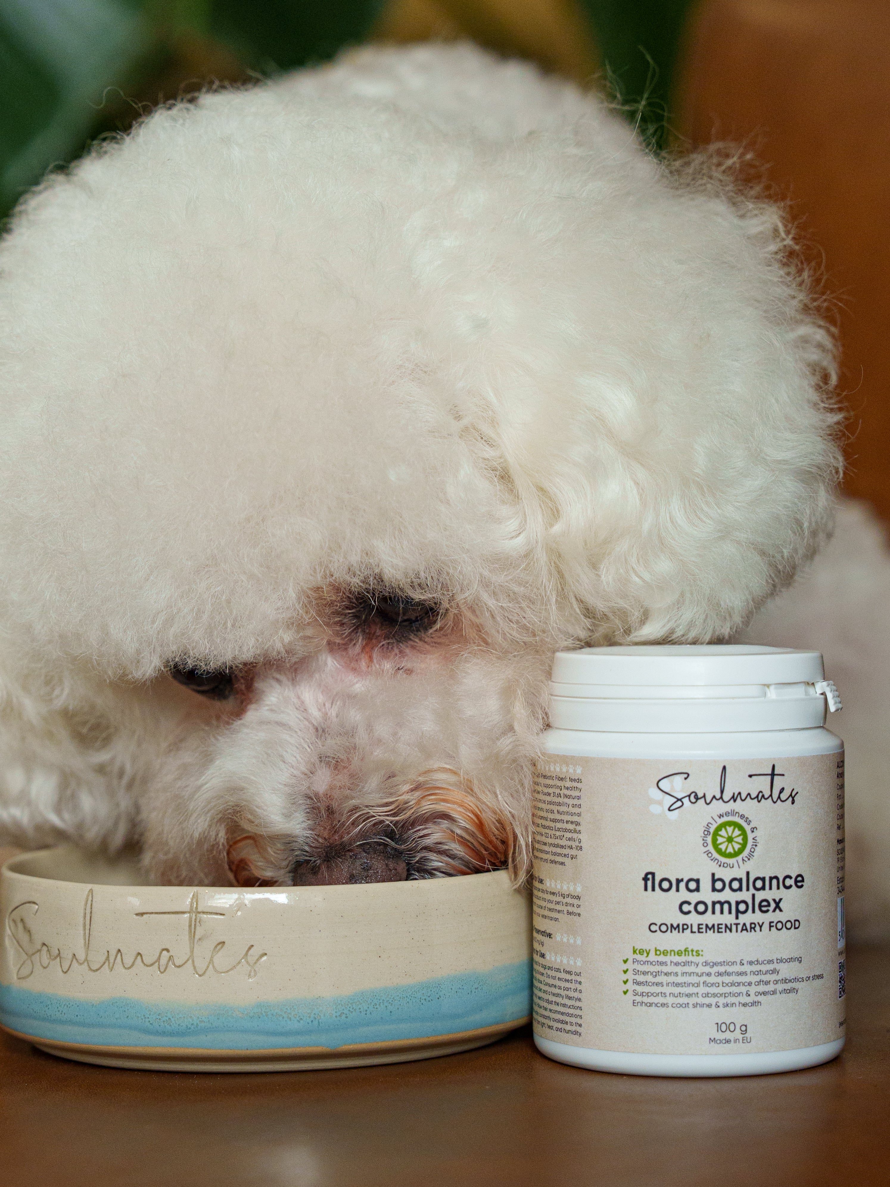 Gut & Immune Harmony Powder - 100 g.