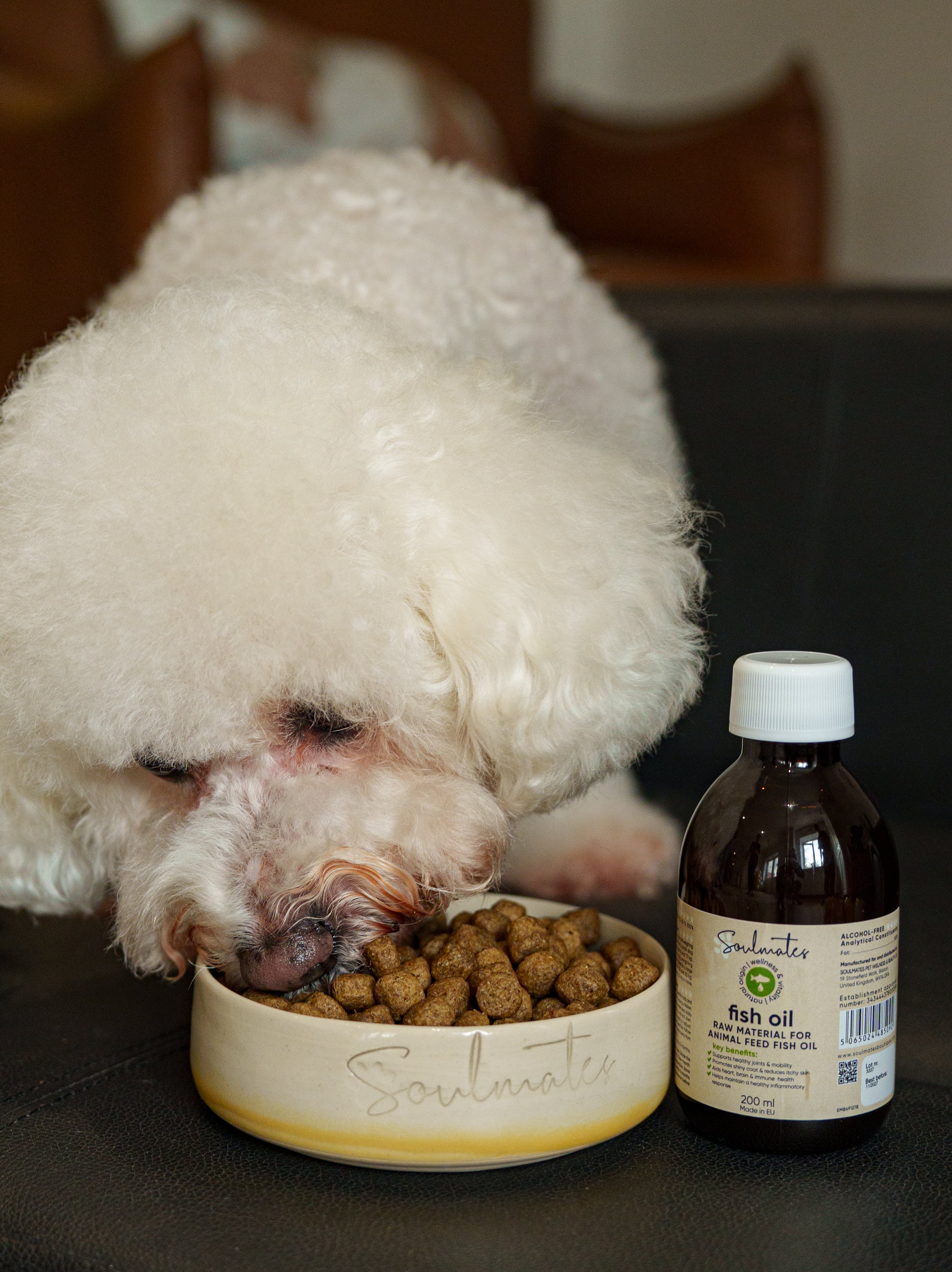 Premium Omega-3 Supplement - 200 ml