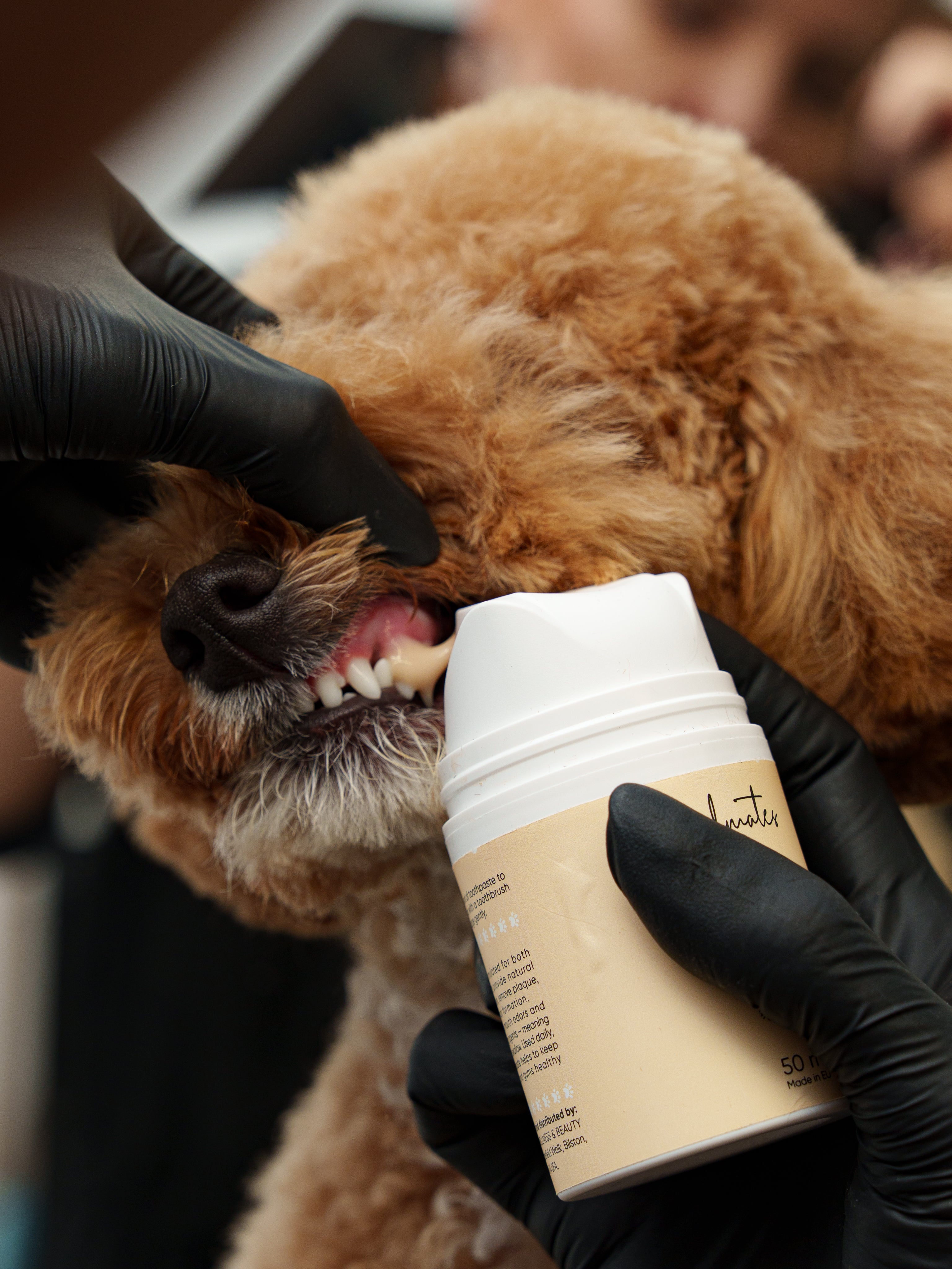 Soulmates Natural Dental Gel - 50 ml.