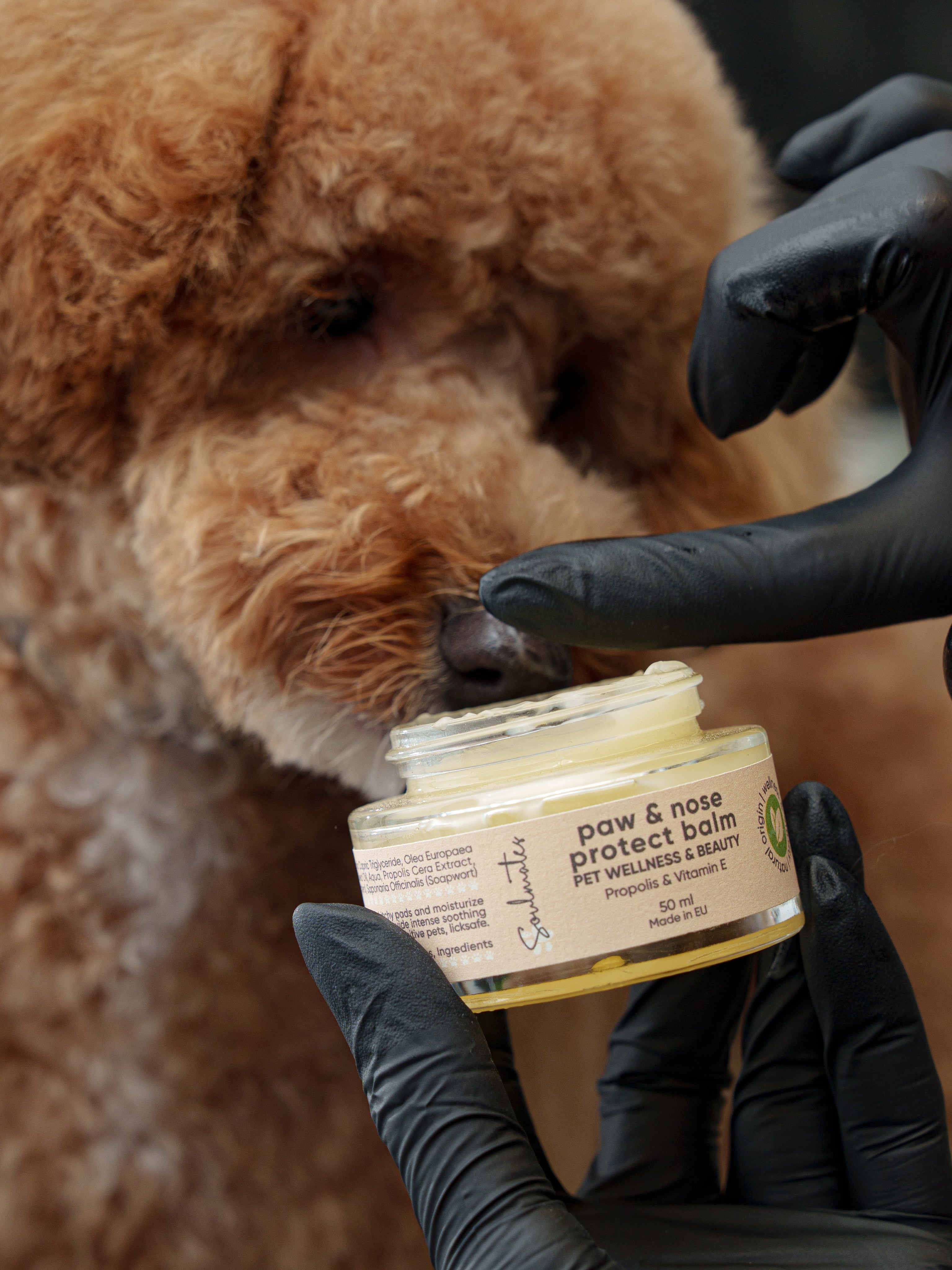 Soulmates Natural Paw & Nose Protect Balm - 50 ml.