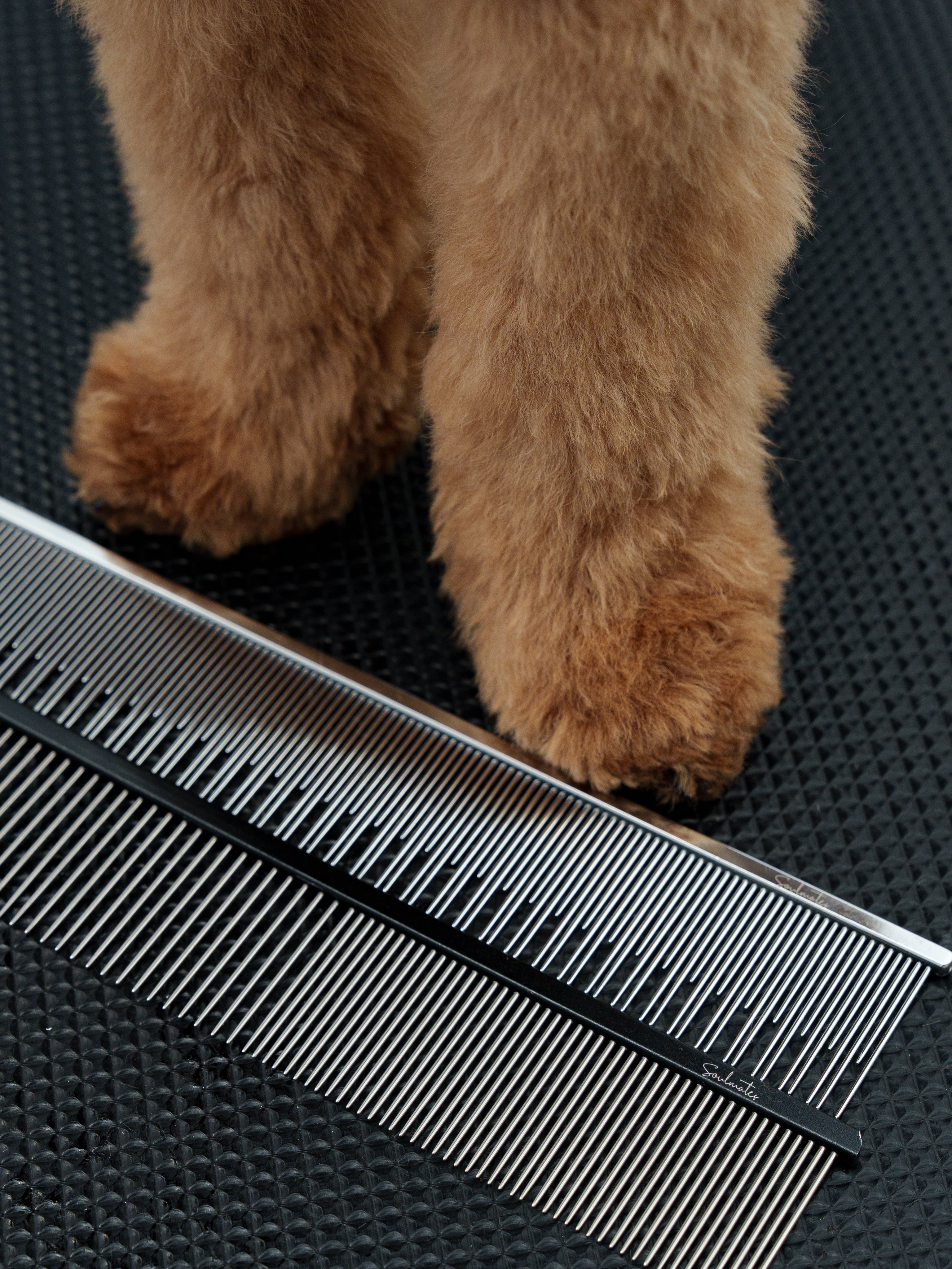 Stainless Steel Comb with Alternate Teeth (22 cm)