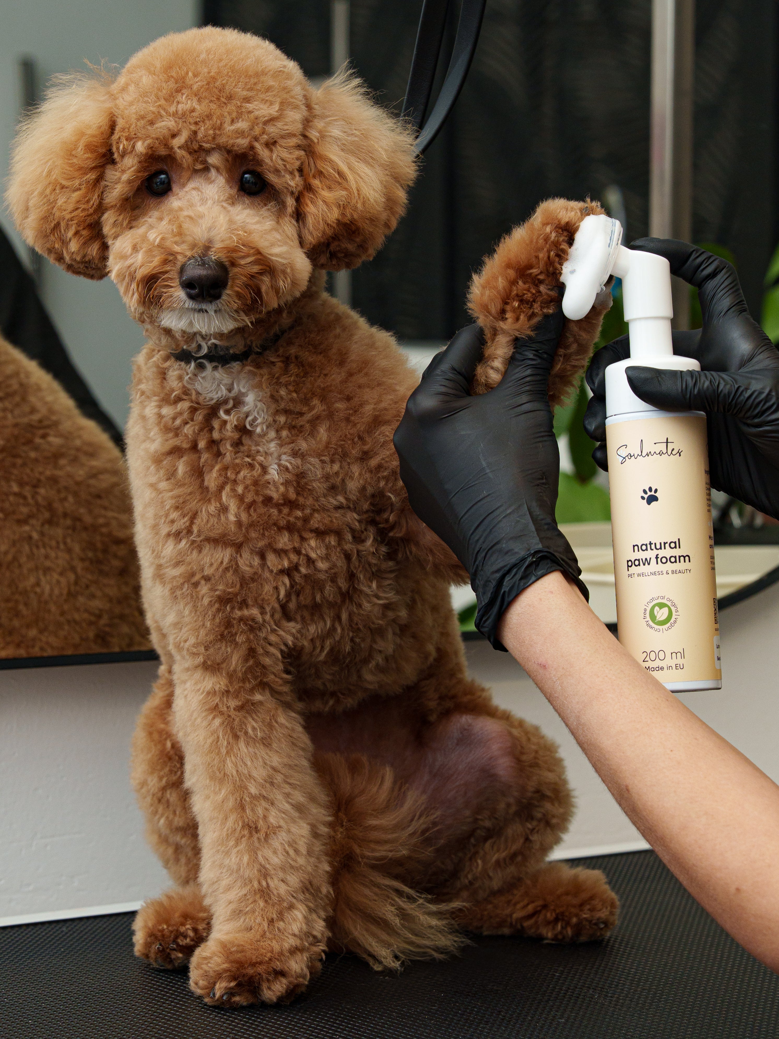 Soulmates Natural Paw Foam - 200 ml.