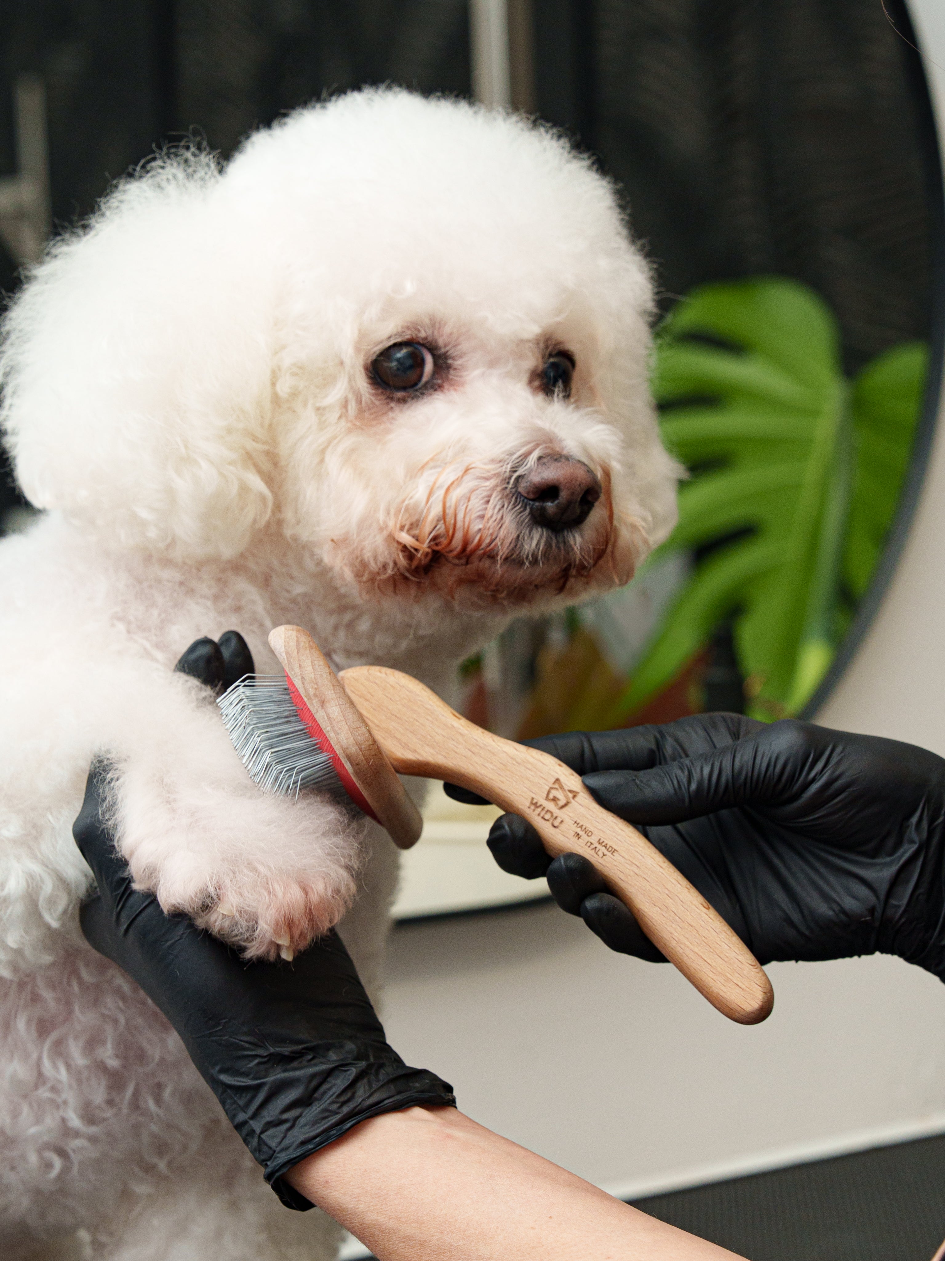 Large WIDU Brush With Long Pins