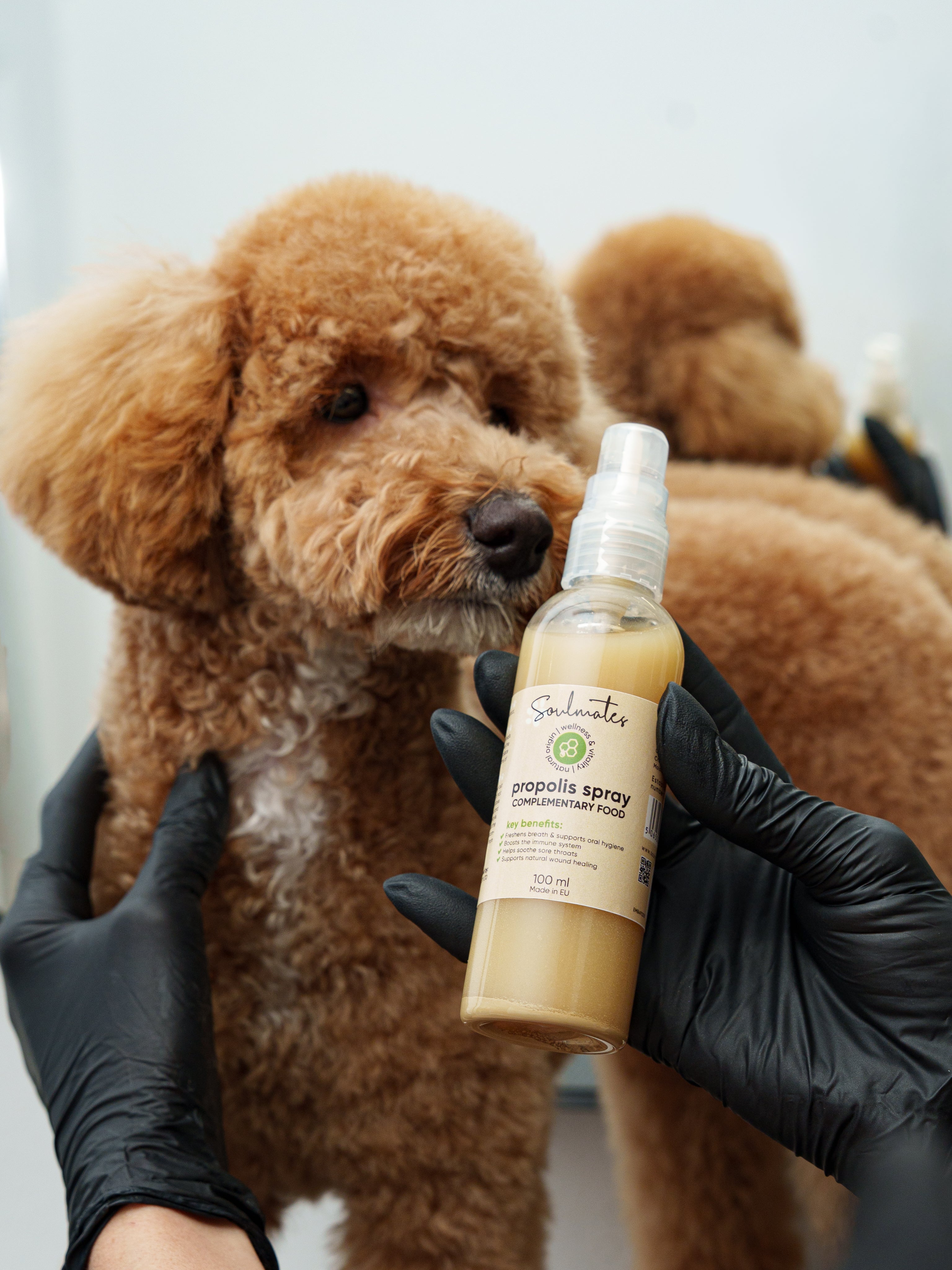 Propolis Oral & Immune Support Spray - 100 ml.